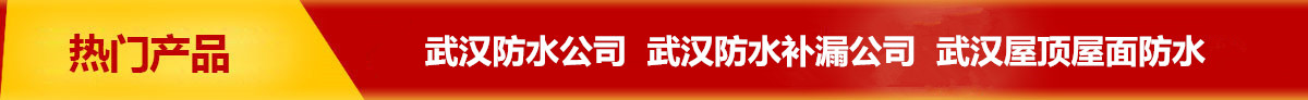首页长图广告1